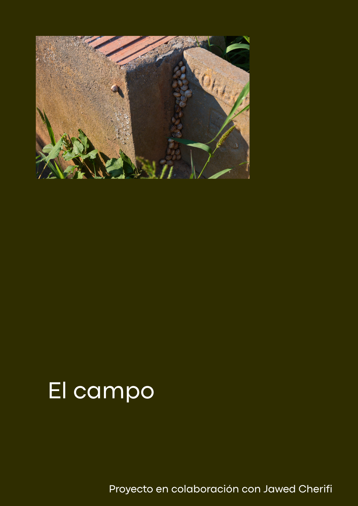El campo